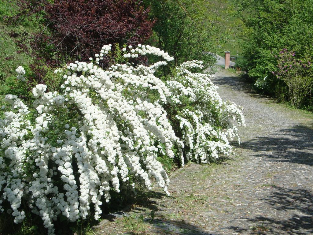 לינה וארוחת בוקר Moncucco Torinese Cascina Nel Bosco מראה חיצוני תמונה